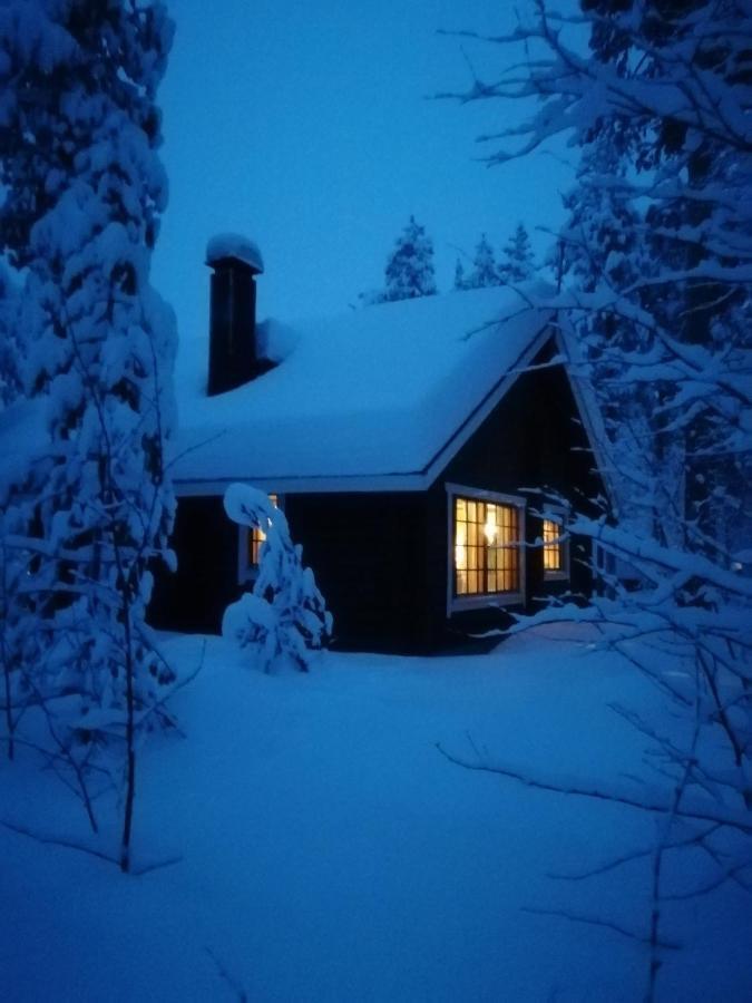 Villa Levihaukka 10 à Sirkka Extérieur photo